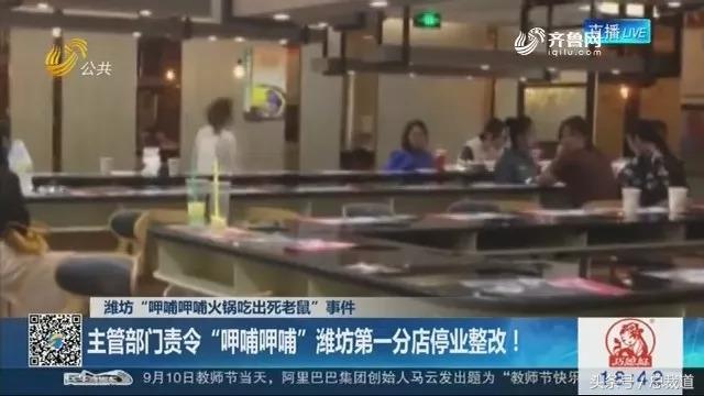 呷哺呷哺3年亏8个亿,呷哺呷哺三年亏损8亿