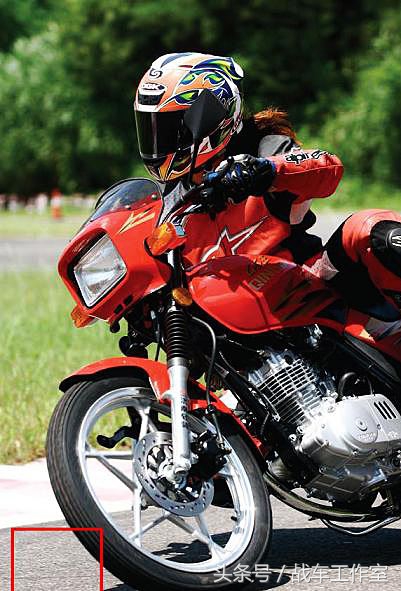 隐藏在绿化带里的罪恶,隐藏在黑暗深处的罪孽