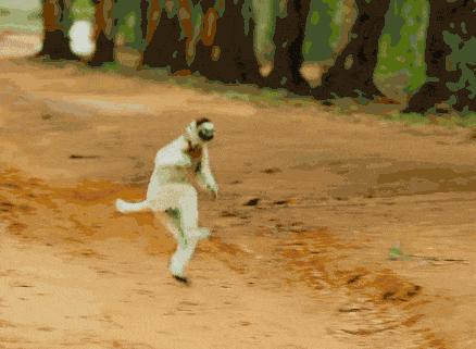 人体哪个部位让你，忍不住伸出舌头，想舔……｜从5500万年前说起