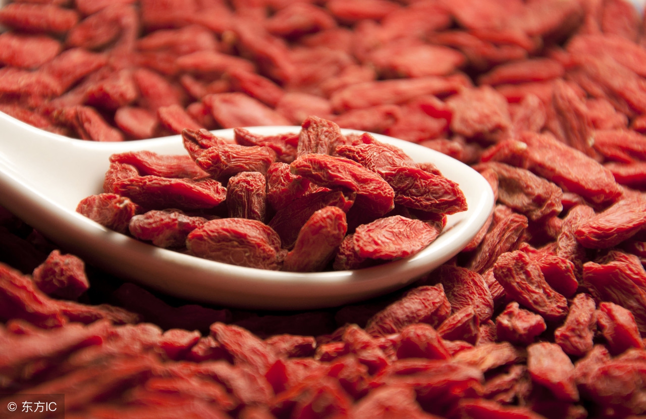 枸杞泡绿茶有害吗,长期泡枸杞菊花喝有害吗