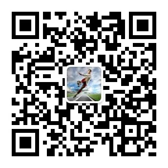 德媒对罗本的看法,罗本和c罗梅西