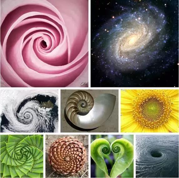 绁炲湥鍑犱綍璁茶В瑙嗛,绁炲湥鍑犱綍濡備綍杩愮敤