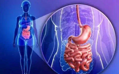 三天还没大便怎么办小妙招,几天没排便了有什么妙招