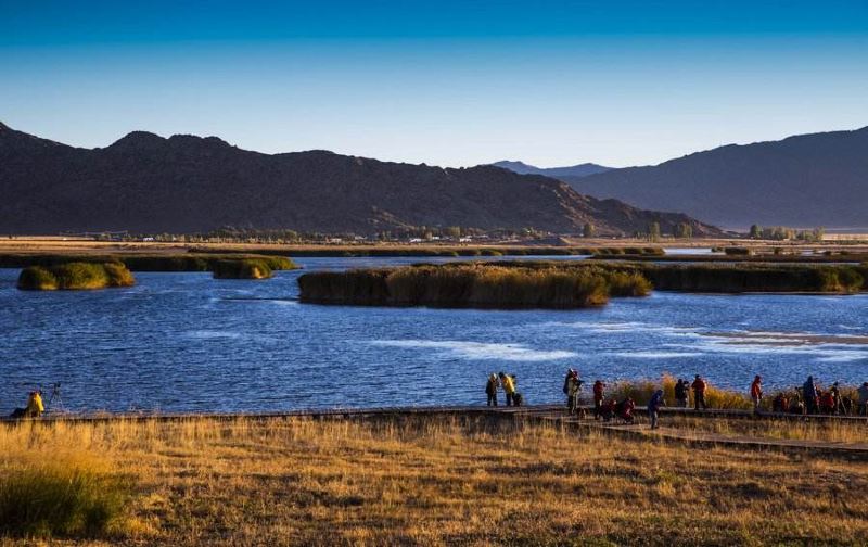 北疆环线10日游最新,北疆环线10日游旅游团