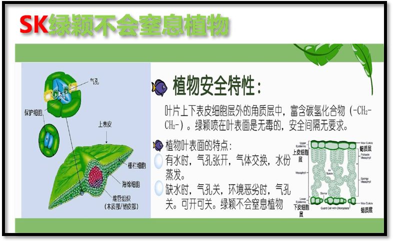 风靡市场16年,100多万橘农持续使用!这款超级大单品怎么炼成的?