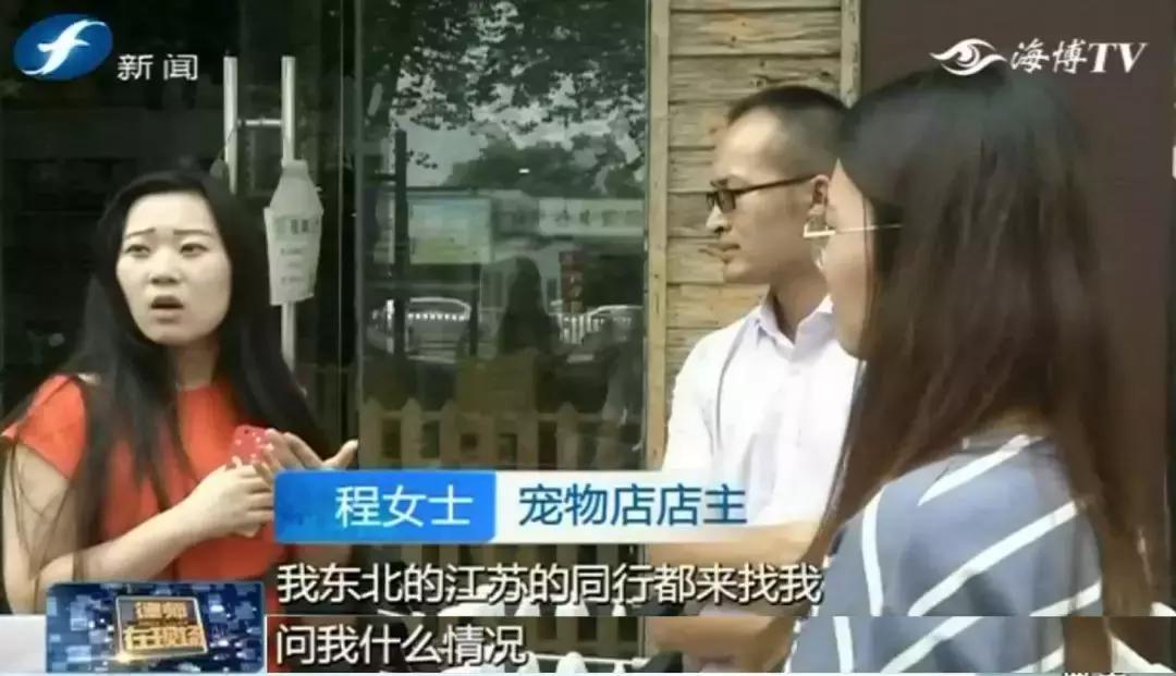 宠物店签订协议寄养死了怎么赔偿,为什么幼犬会在一夜之间莫名死亡