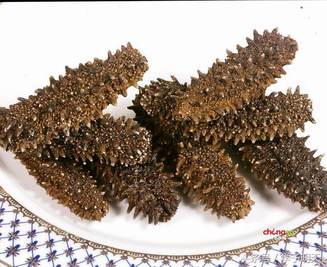 大语文小知识,大语文文学常识听书