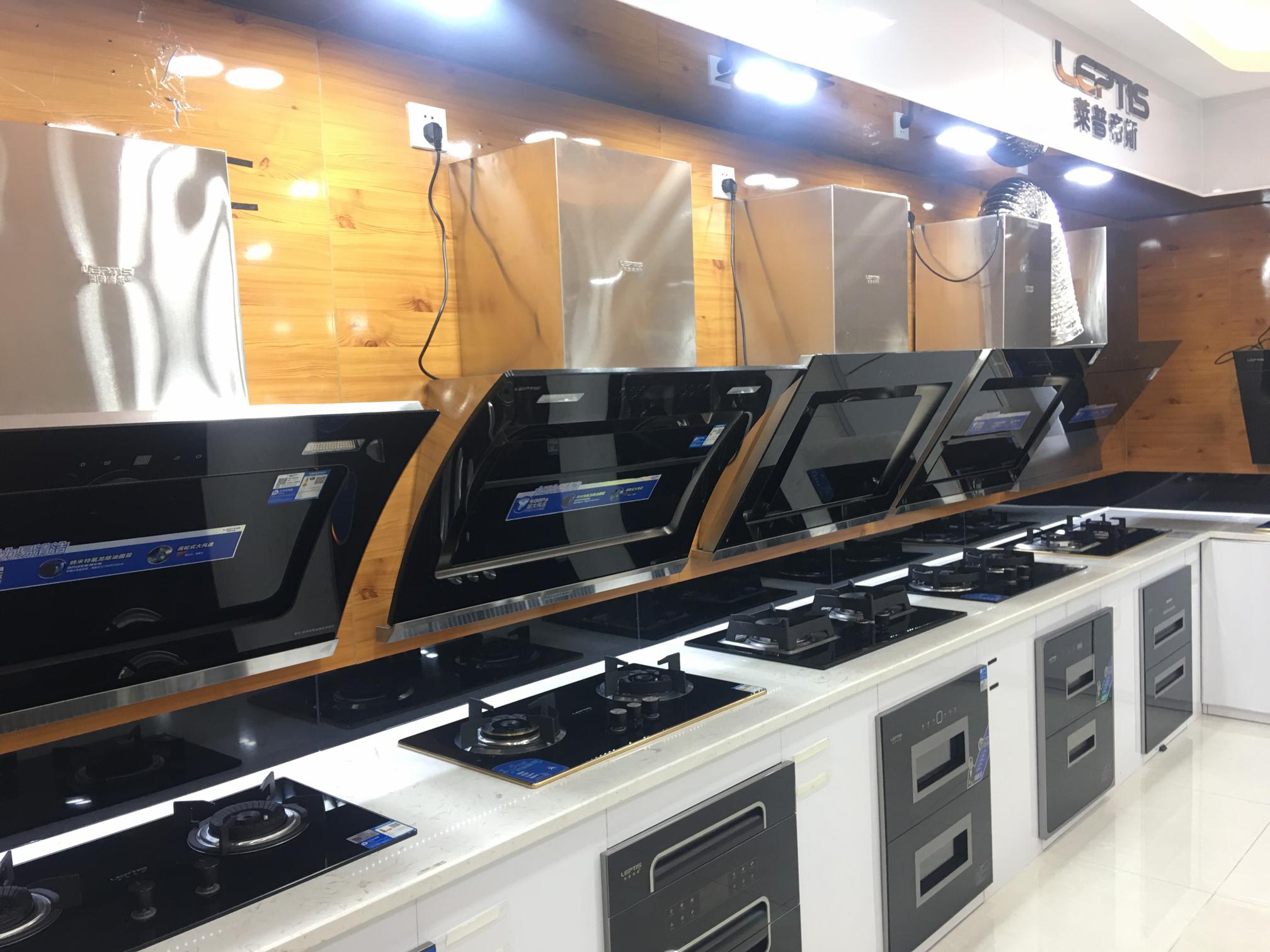 从oem转变为obm的企业分析,莱普帝斯中国厨电行业