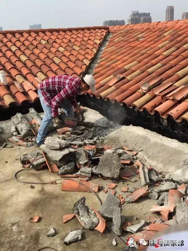 楼顶鱼池有哪些,屋顶鱼池的建造方法