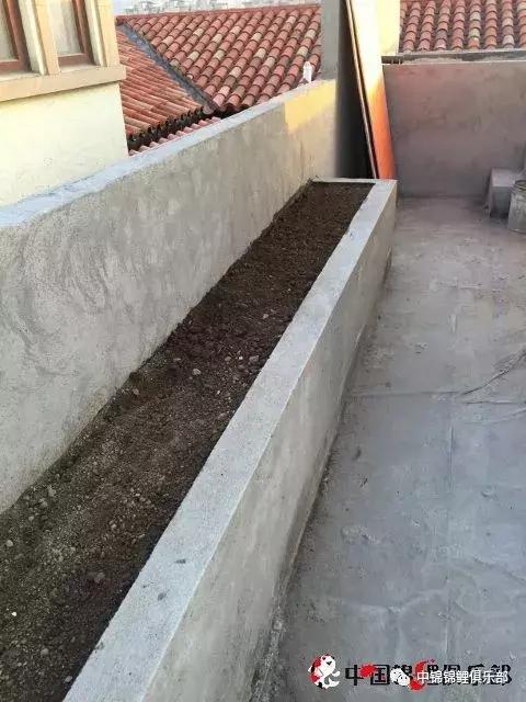 楼顶鱼池有哪些,屋顶鱼池的建造方法