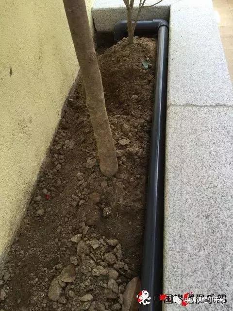 楼顶鱼池有哪些,屋顶鱼池的建造方法