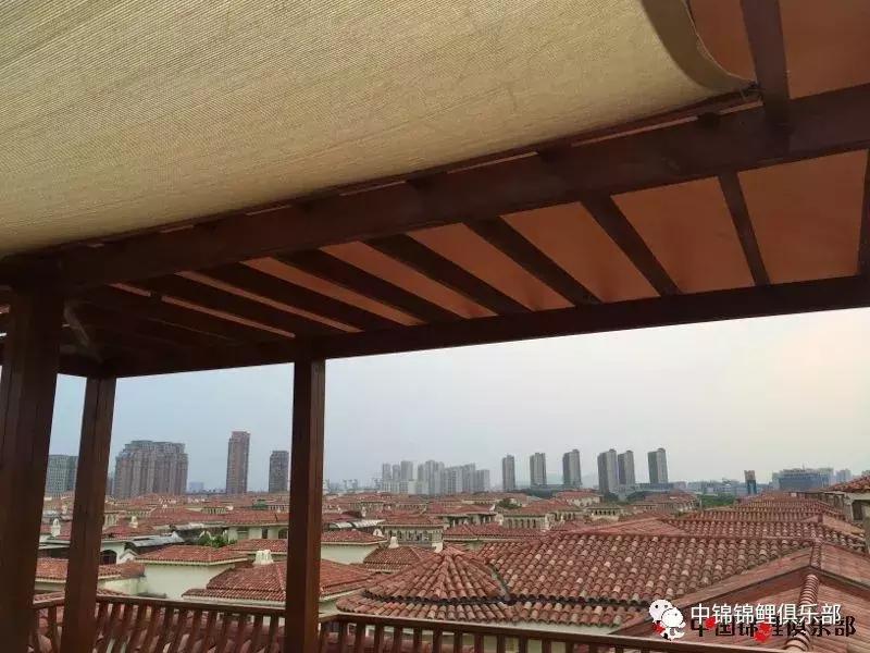 楼顶鱼池有哪些,屋顶鱼池的建造方法