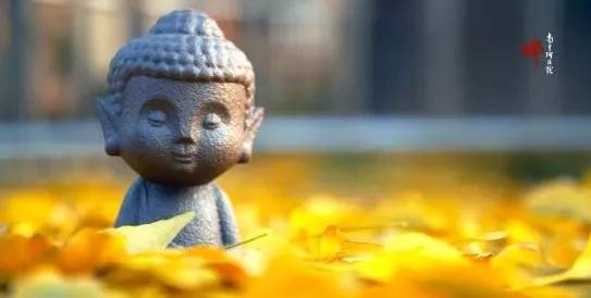 把心安住在佛号上,身心安住在佛号里