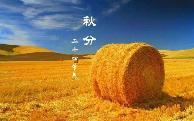 中国农民丰收节江苏省主会场,2019中国农民丰收节系列