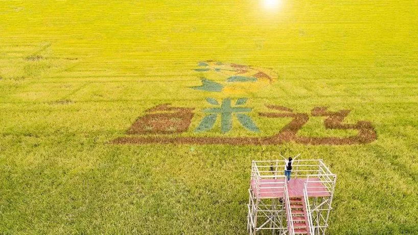 麻涌全域旅游发展,麻涌乡村旅游