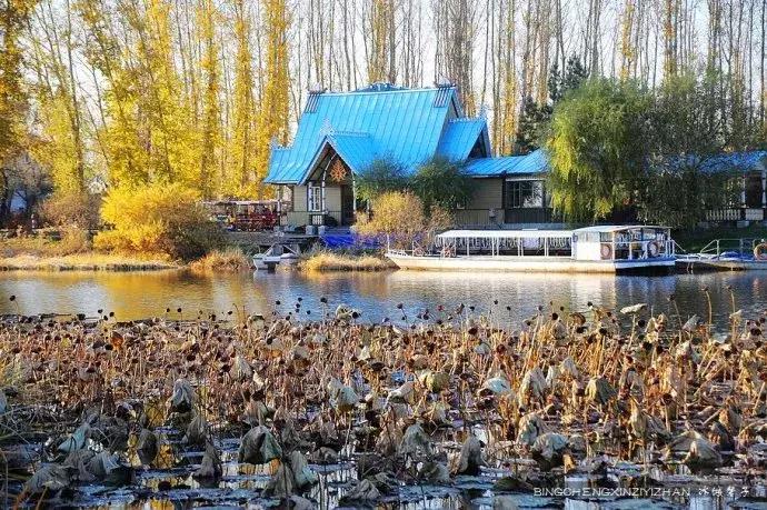 国庆伏尔加庄园,哈尔滨伏尔加庄园三日游