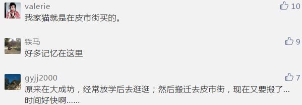 苏州最大的花鸟市场新搬在哪里,苏州花鸟市场营业时间