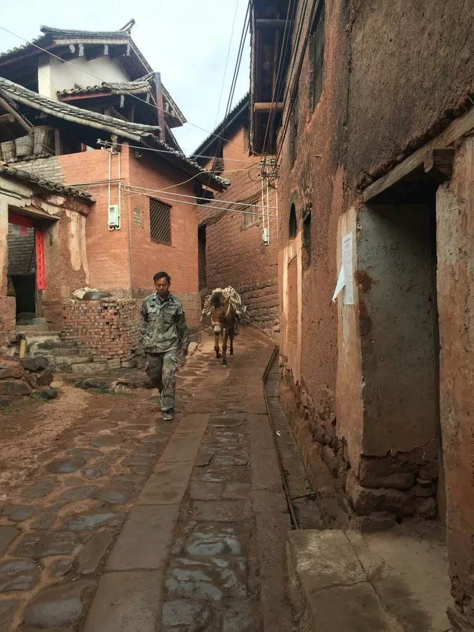 对大理有一种莫名的情愫,对大理的感触远远不止于苍山洱海