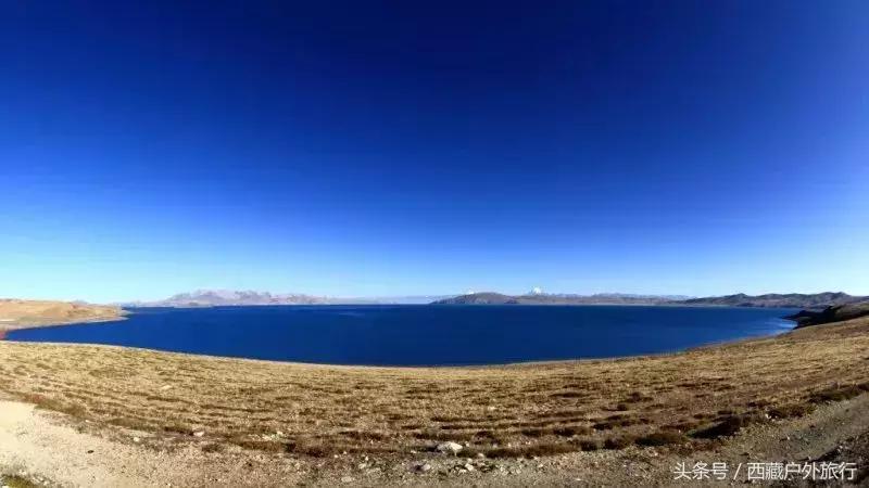 为什么阿里叫阿里地区,为什么阿里被称为拳王