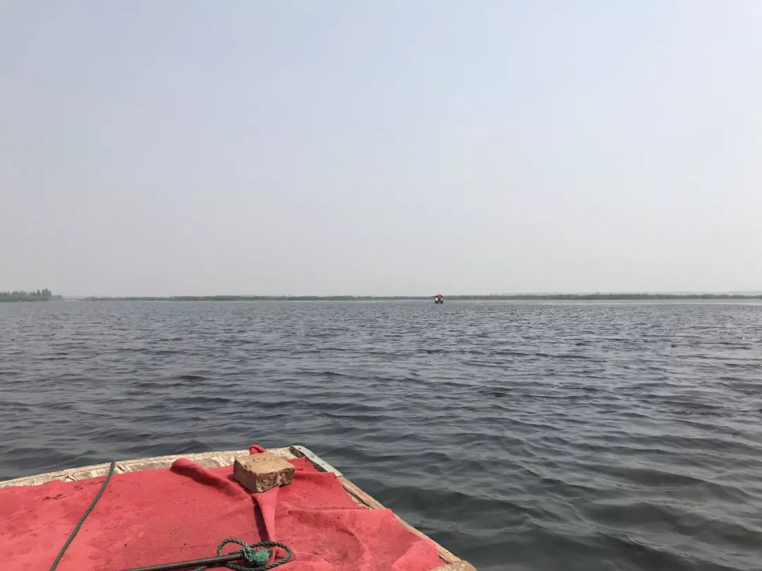 下站该往哪里去,下站了该去哪