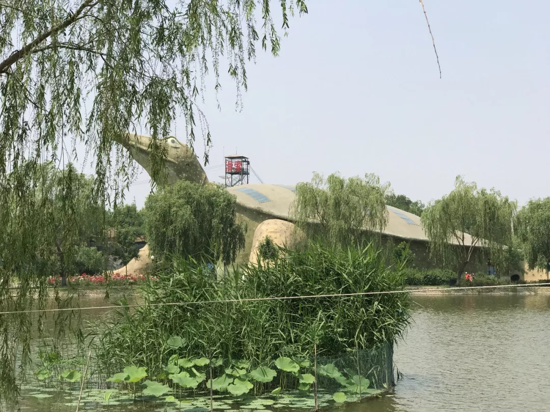 下站该往哪里去,下站了该去哪