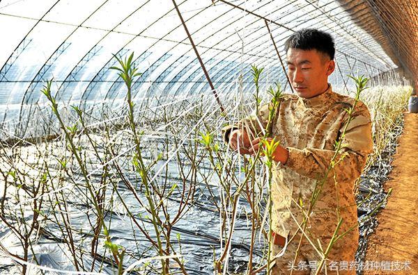 农村人怎样创业赚钱最快的方法,农村暴利创业13个点子防骗