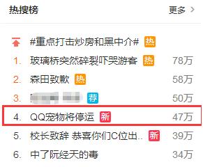 qq宠物面临停服,qq宠物停止运营