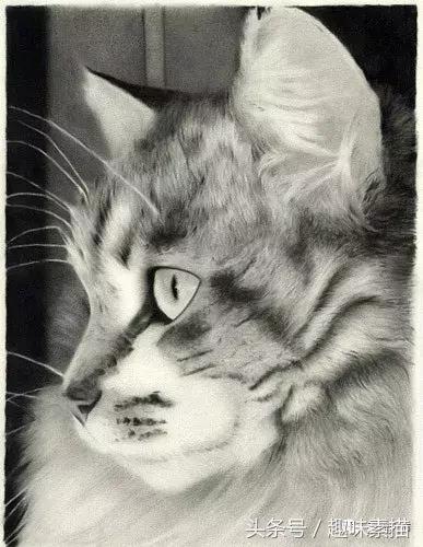 40幅精美素描图片,100张铅笔画图片