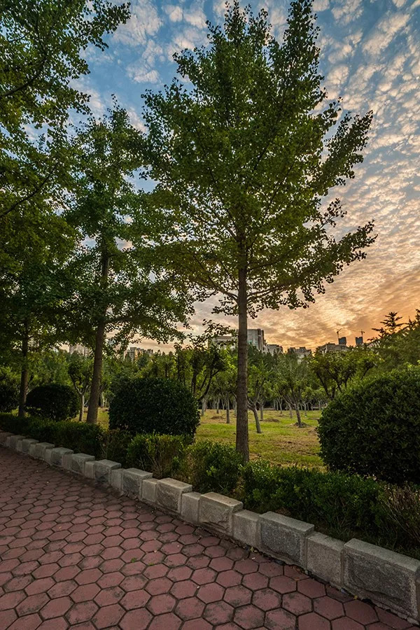 晨光暮色渐更迭,晨光暮色