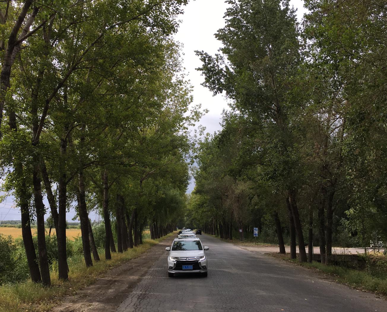 以秋会友菱近自然——沈阳华之菱金秋之旅欢乐行