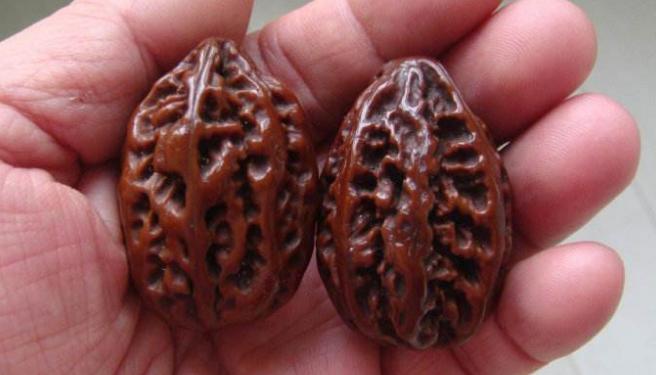 文玩玩物丧志吗,文玩真的玩物丧志吗