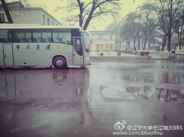 辽大毕业生真实就业,辽大本科毕业要求