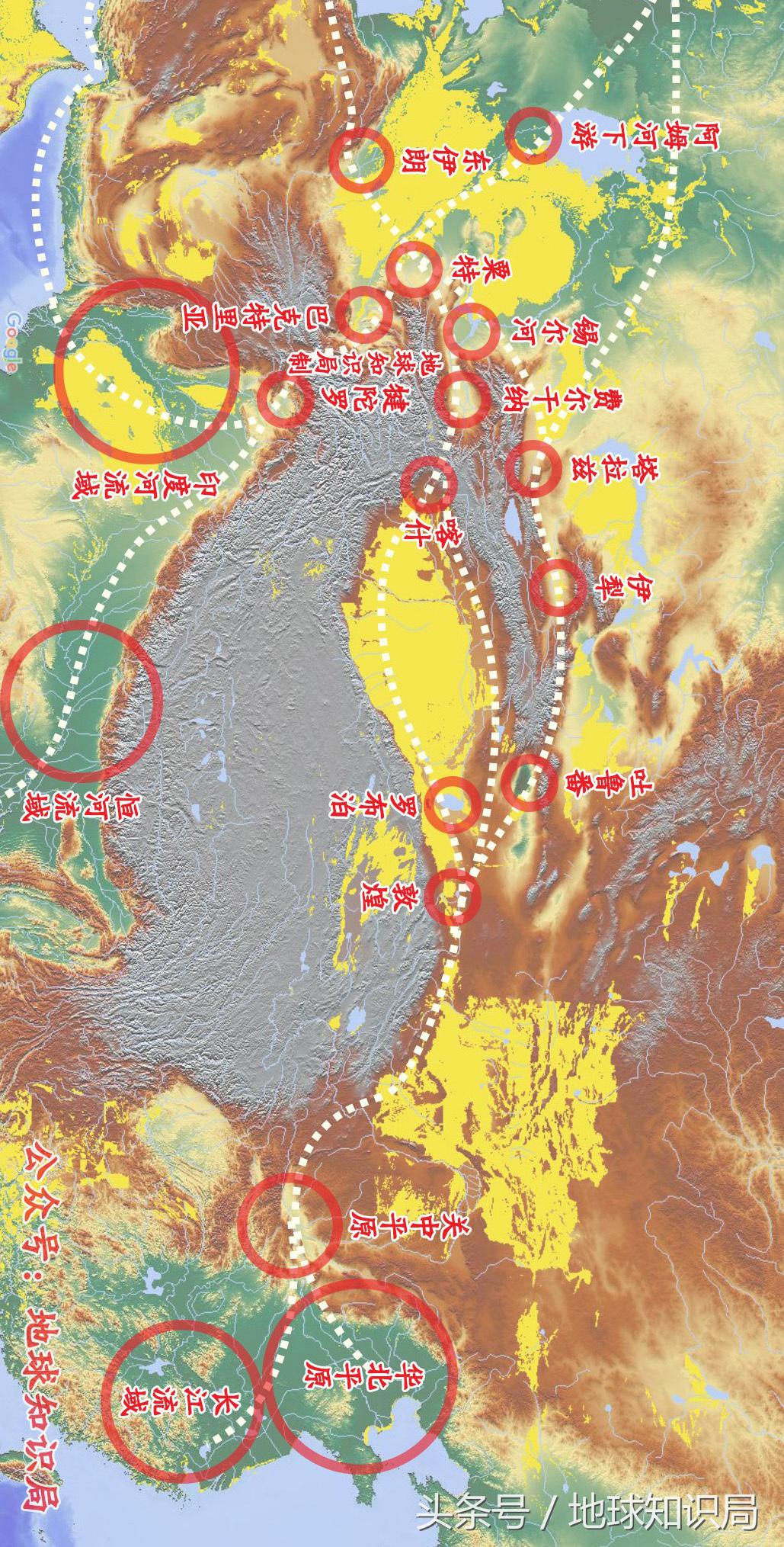 骑完骆驼再骑驴，真正的西域神兽是谁？地球知识局