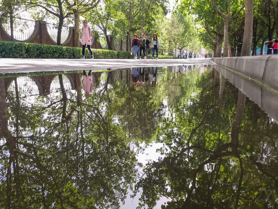 拥有一面神奇的魔镜,有一个魔镜可以测一下你的脸型