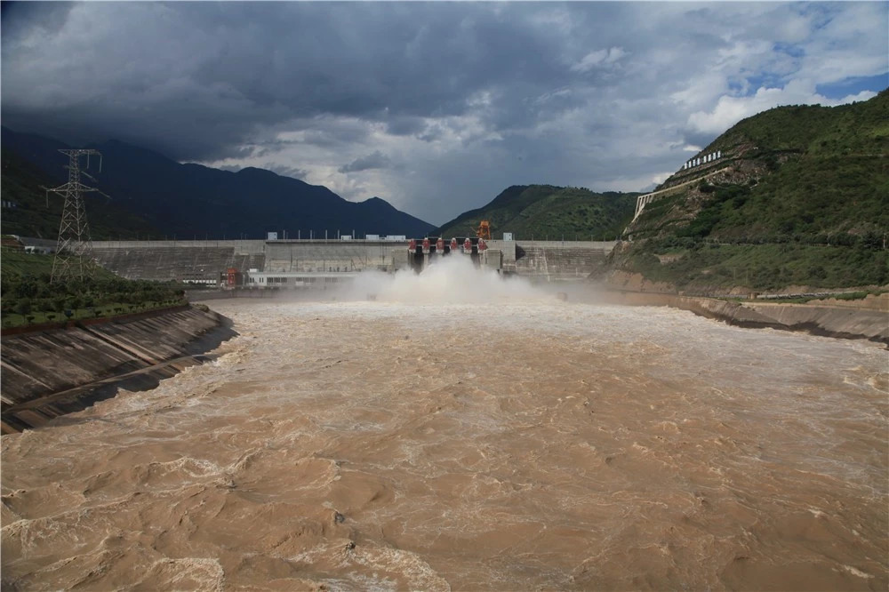 热门产业伤心事：软籽石榴的价格居然会低到2.5元一斤