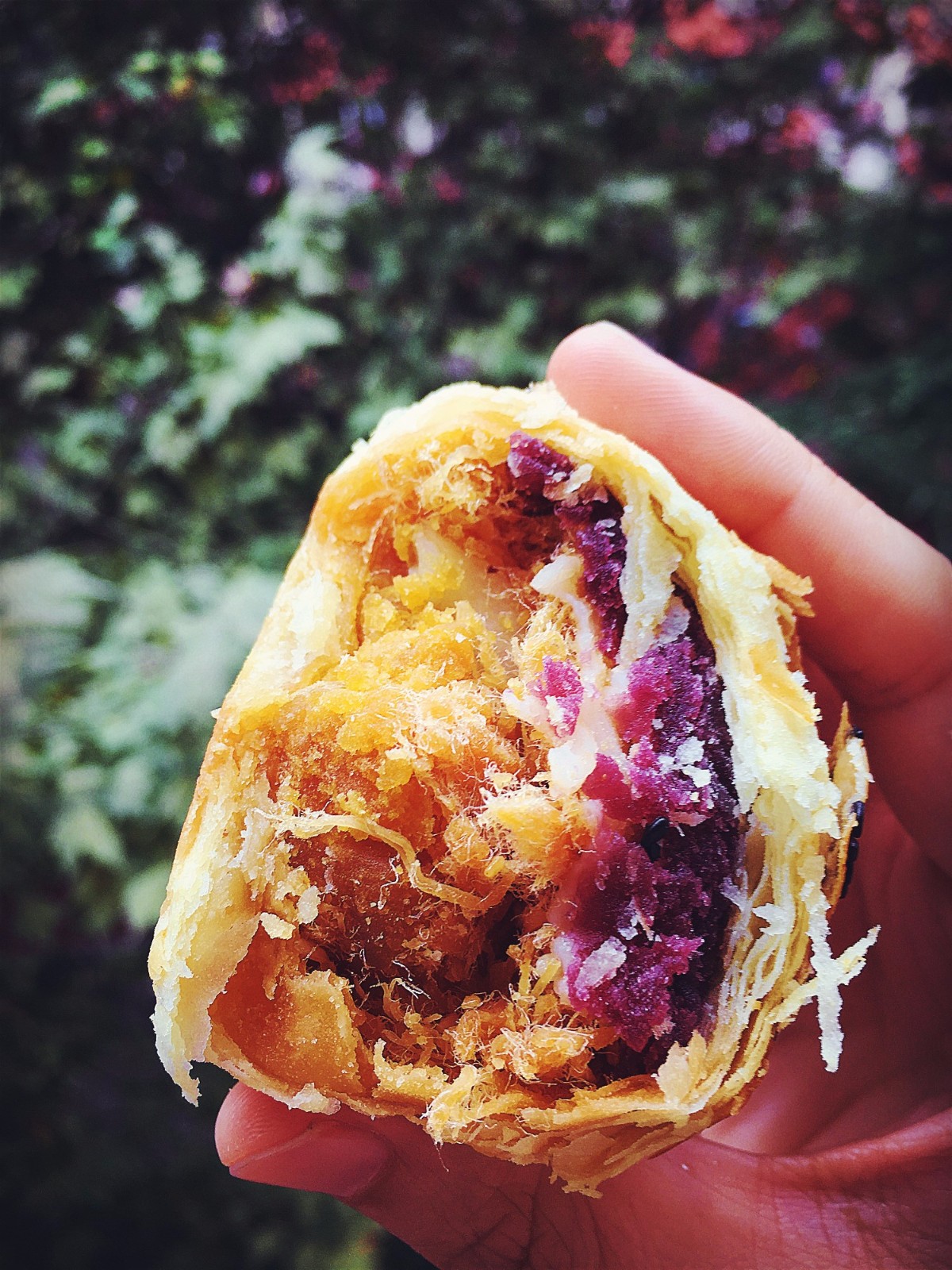 娣樺疂濂藉悆鐨勮泲榛勯叆鎺ㄨ崘,娣樺疂搴椾笂鐨勮泲榛勯叆