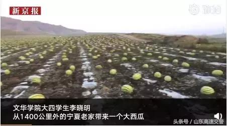 爆笑!收到2米多高代购清单的男子代购回来啦!「蜀黍周趣闻‖NO.43」