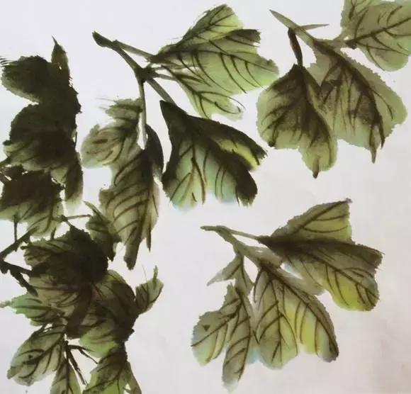 国画牡丹叶子怎样布局,国画牡丹叶子的布局