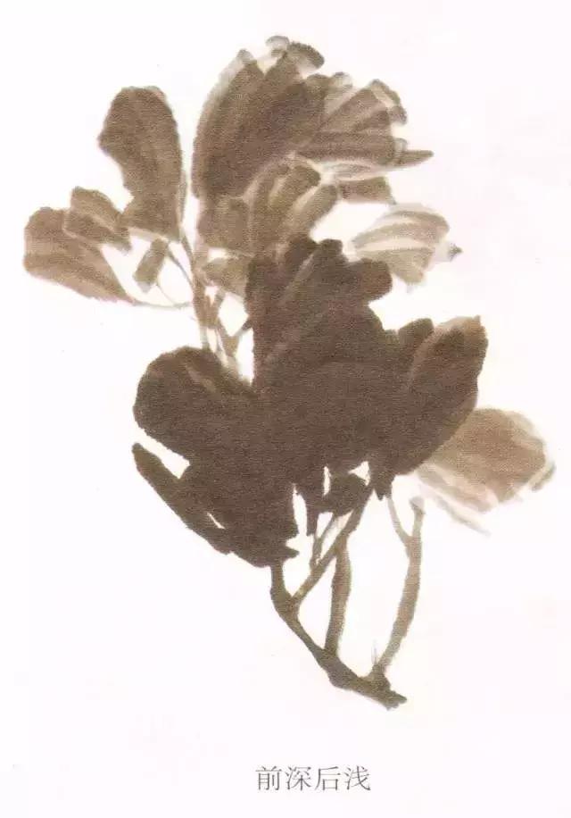 国画牡丹叶子怎样布局,国画牡丹叶子的布局