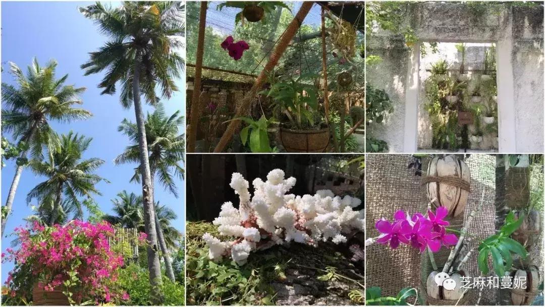 带两个孩子出去的妈妈,带两个孩子的妈妈去旅行