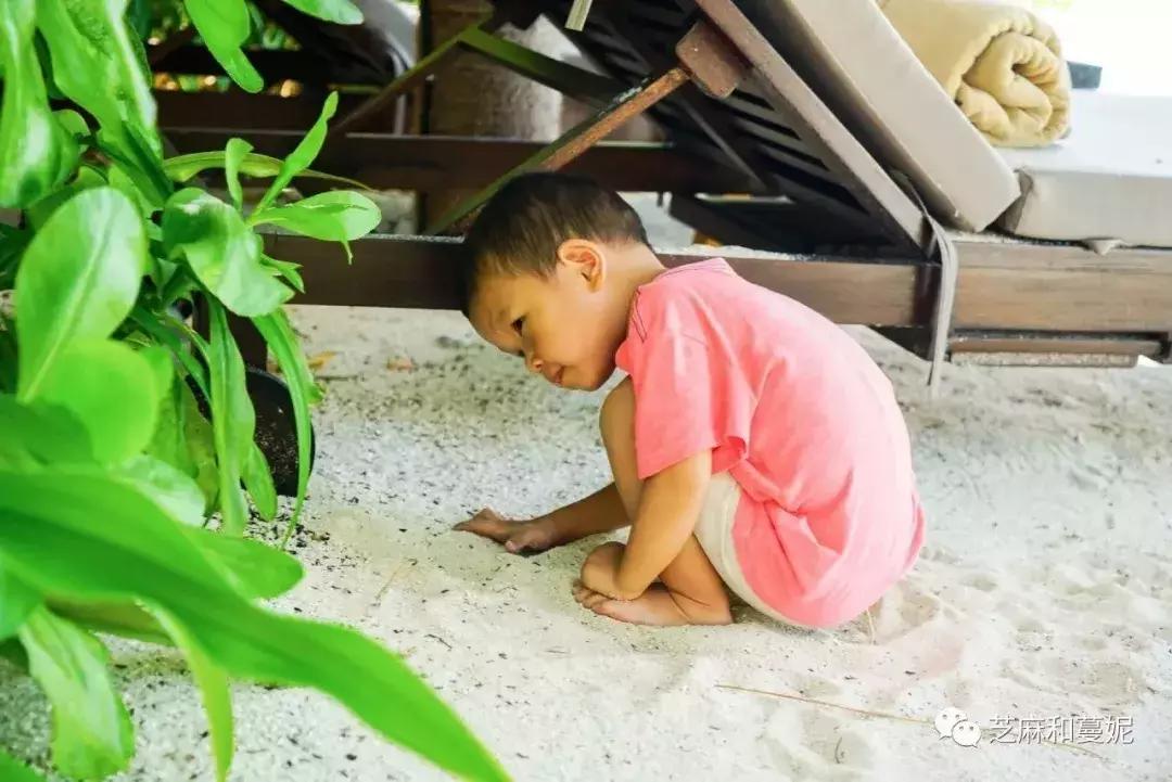 带两个孩子的妈妈去旅行,带两个孩子的妈妈去旅游