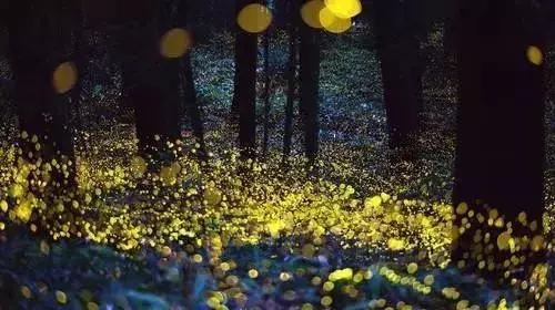 马来西亚沙巴度假海岛,马来西亚的沙巴