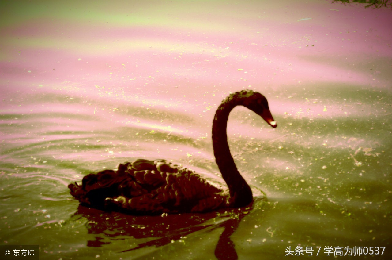 小学一年级语文上册古诗谚语知识,部编小学语文古诗必背篇目