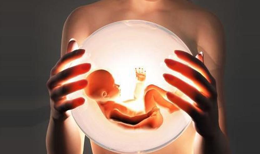 孕前子宫重量,孕期子宫体积增大160倍