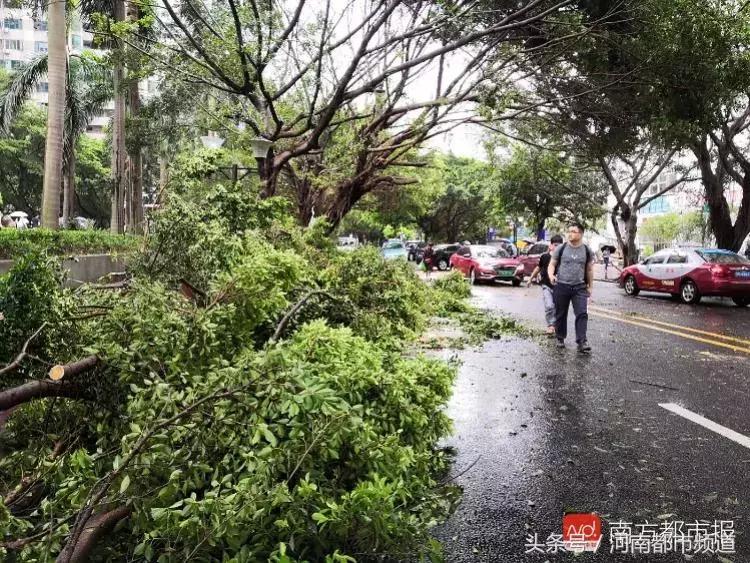“山竹”过后首个工作日：广东人爬树都要去上班！