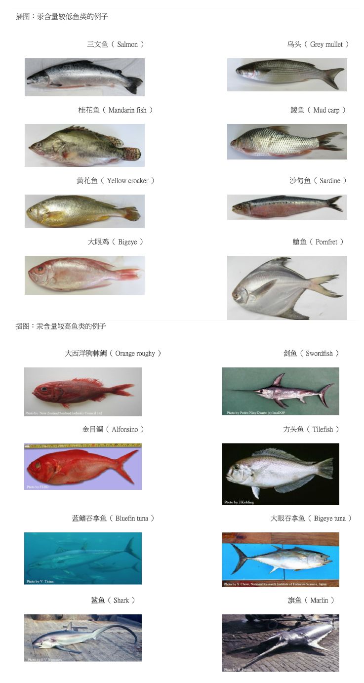 嘉宝米粉重金属超标是哪一款,地球最好米粉重金属