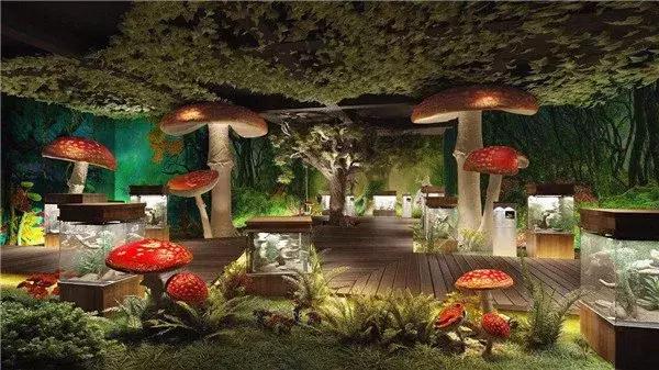 重庆小熊猫互动的动物园,重庆动物园有小熊猫