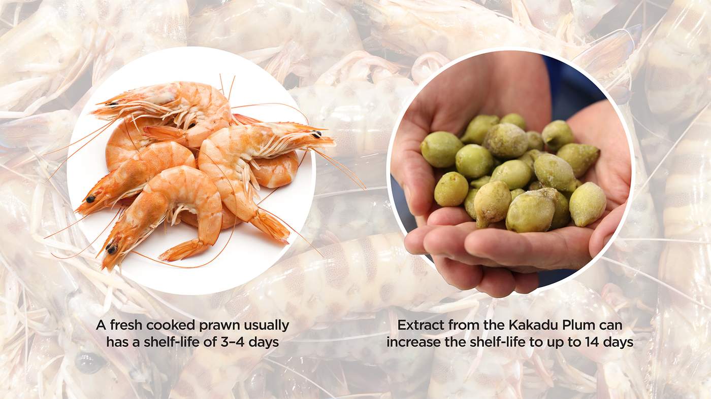 卡卡杜李提亮焕颜精华,卡卡杜李提亮焕颜面霜