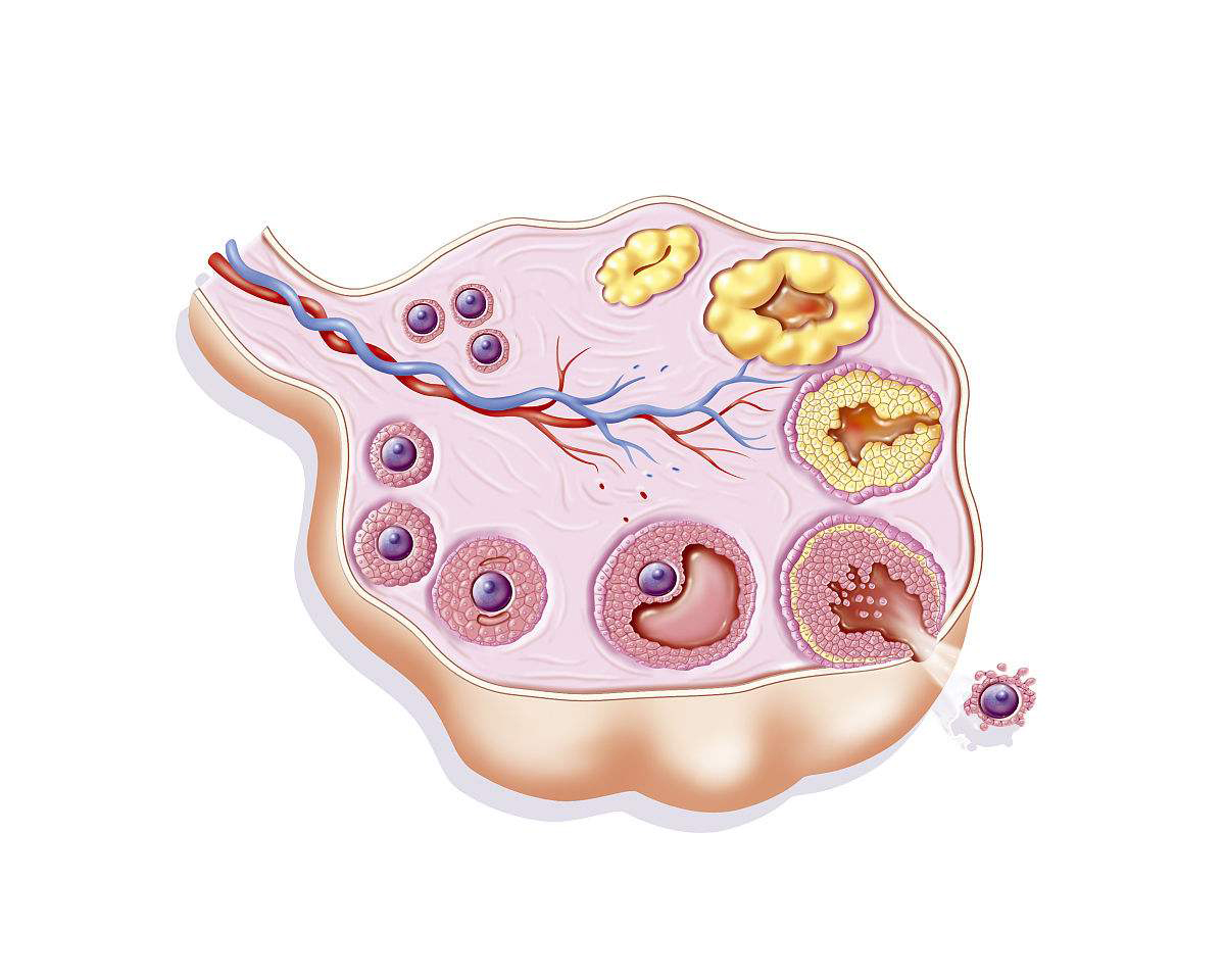 1616针的爱!4年7次试管3次流产,只为了一声“妈妈”