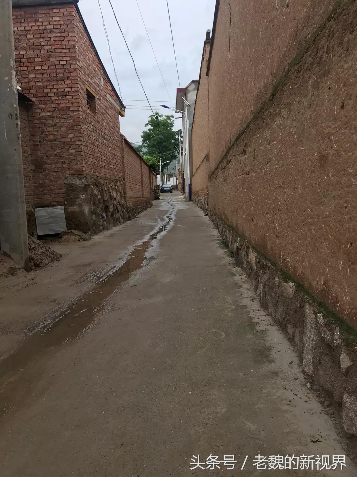 游子归乡记完整视频,游子归乡记